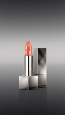 Lip Cover - Golden Peach No.29