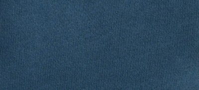 PALE INDIGO