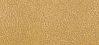 DARK MUSTARD
