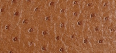 SADDLE BROWN