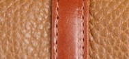 BRIGHT TORTOISESHELL