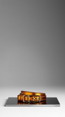 Metallic Leather Belt