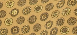 DARK MUSTARD