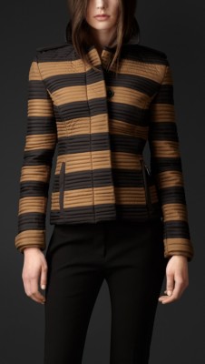 Ribbed Quilt Fitted Jacket