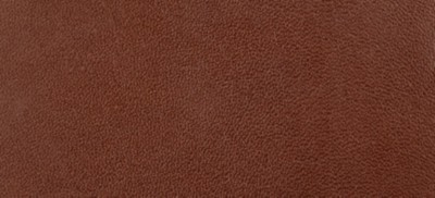 DARK TAN