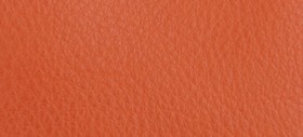 TANGERINE