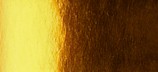 IRIS YELLOW