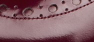 BOYSENBERRY