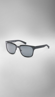 Splash Sunglasses in a Metallic Finish