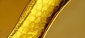 IRIS YELLOW