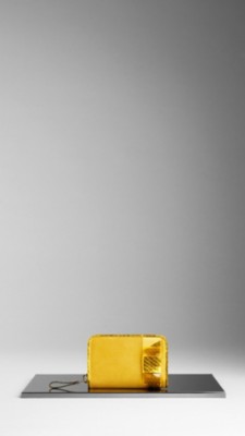 Snakeskin and Perspex Bow Coin Purse