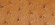 SADDLE BROWN