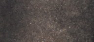 DARK FAWN