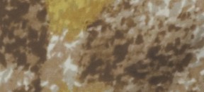 DARK MUSTARD