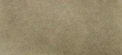 PALE BIRCH GREY