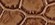 CLAY
