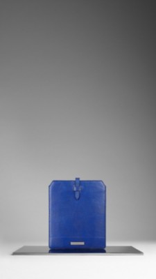 Lizard iPad Case