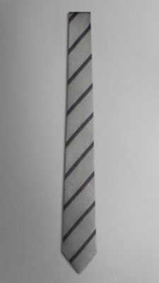 Striped Silk Tie