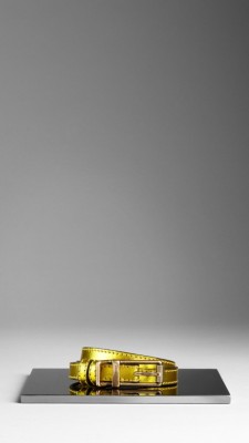 Metallic Leather Belt