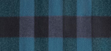BLUE CARBON CHECK