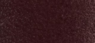 BOYSENBERRY