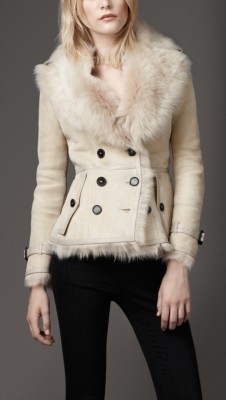 Leather Trim Shearling Jacket