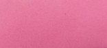 RASPBERRY SORBET
