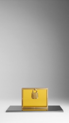 Framed Perspex Clutch