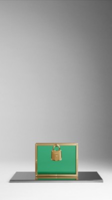 Framed Perspex Clutch