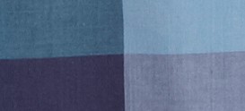 IRIS BLUE