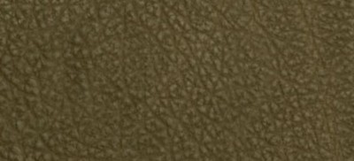 BRIGHT KHAKI