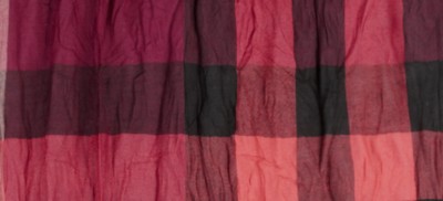 BOYSENBERRY CHECK