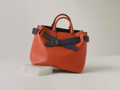 burberry the belt bag
