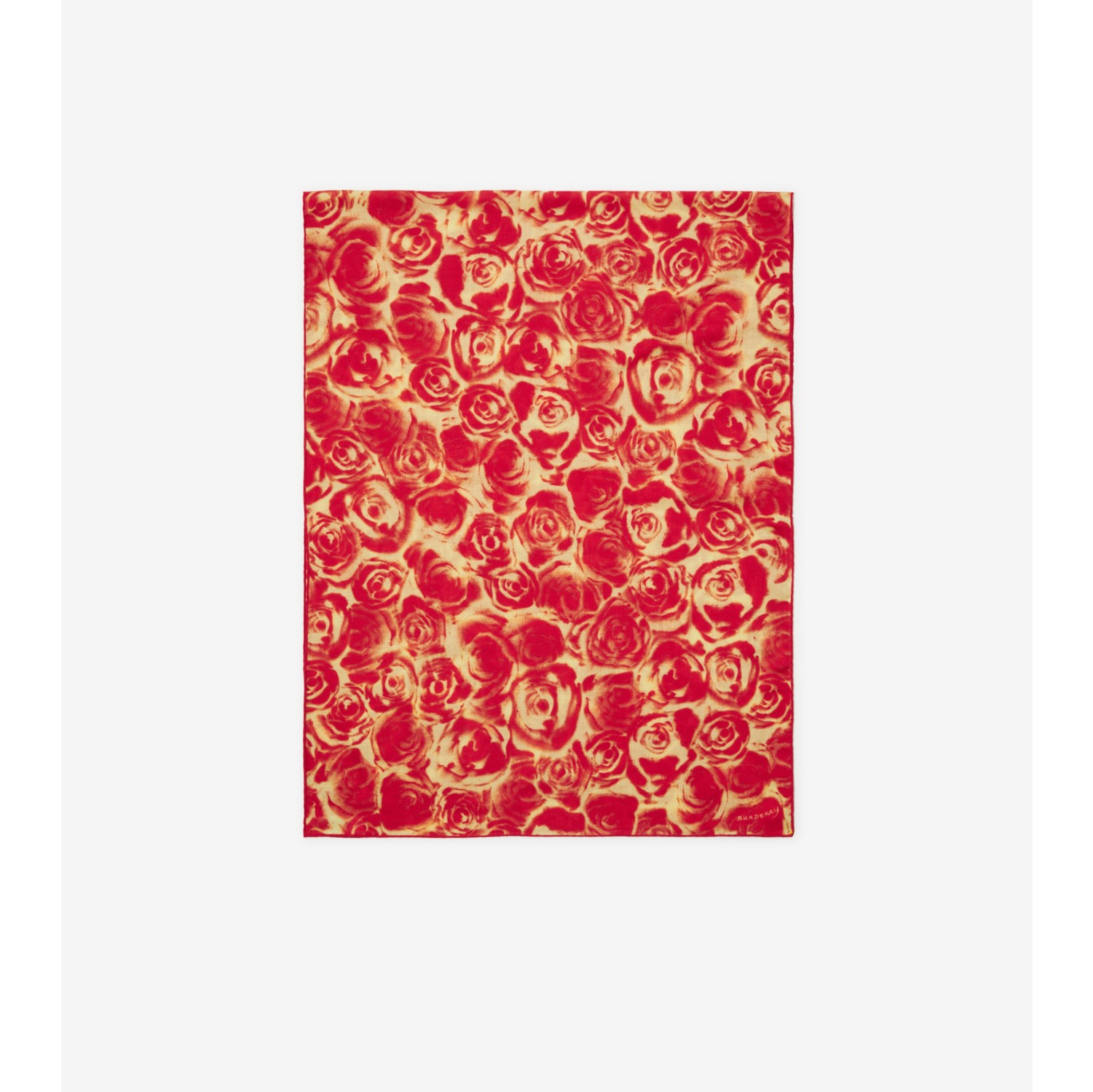 Rose Cashmere Silk Scarf in Pillar/sherbet | Burberry® Official