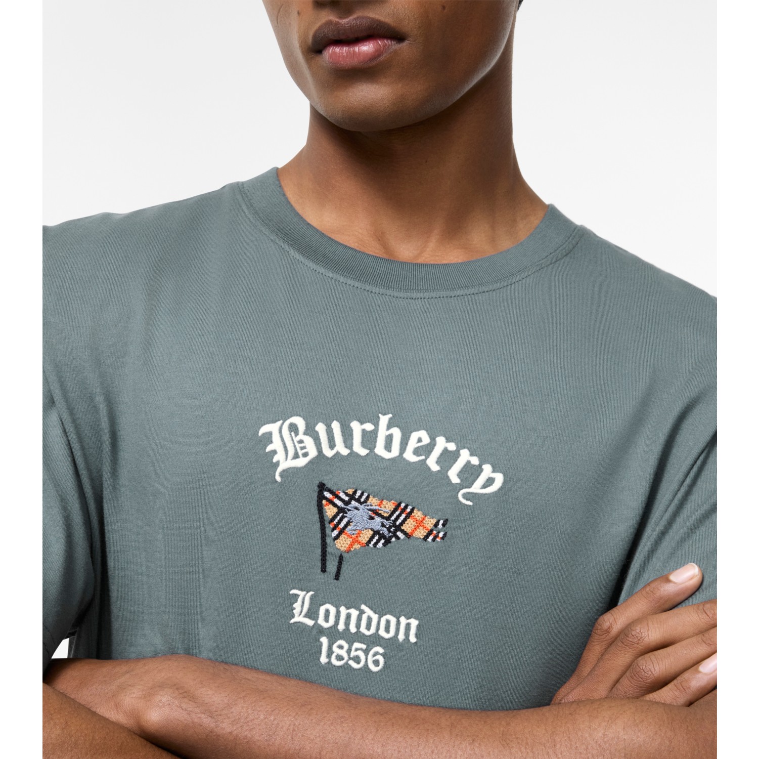 Check Flag Cotton T-shirt in Seafarer blue - Men | Burberry® Official