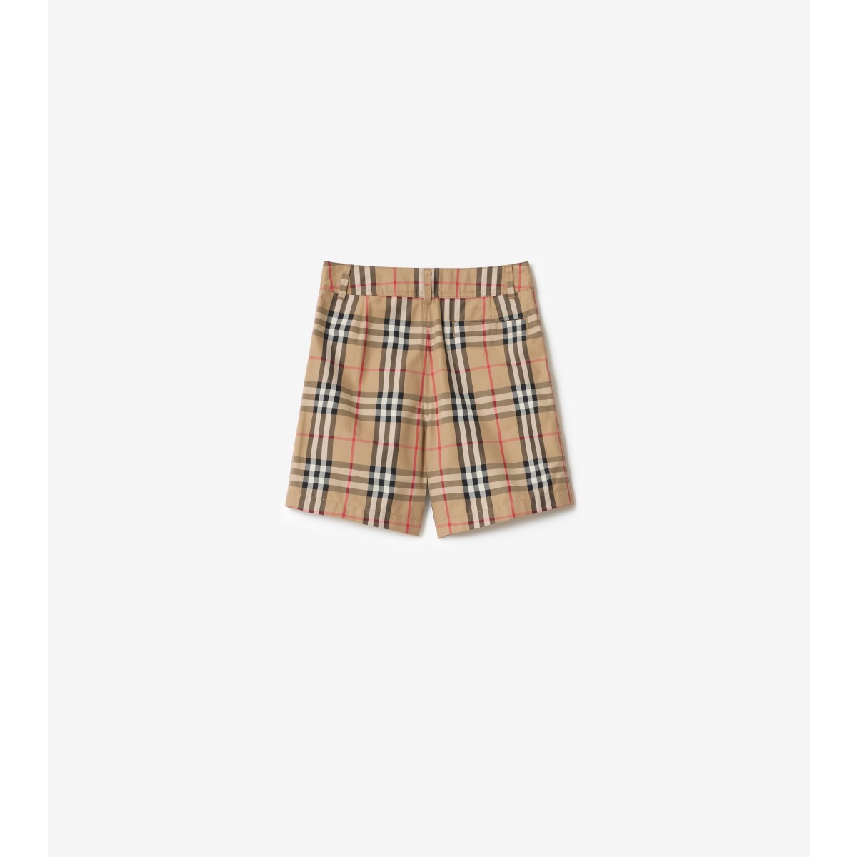  Check Cotton Oxford Shorts