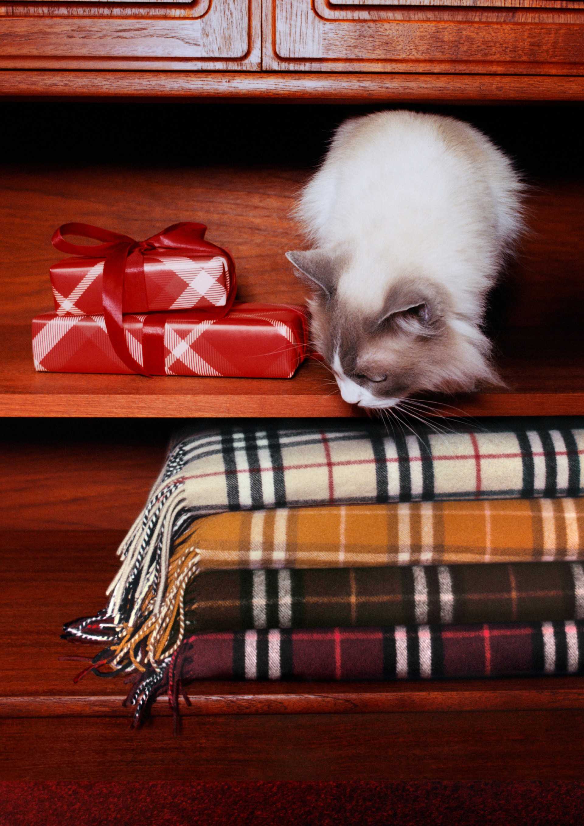 ラグジュアリー ホーム＆ペットアクセサリー | Burberry® 公式サイト