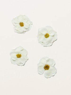 burberry her blossom eau de toilette 100ml