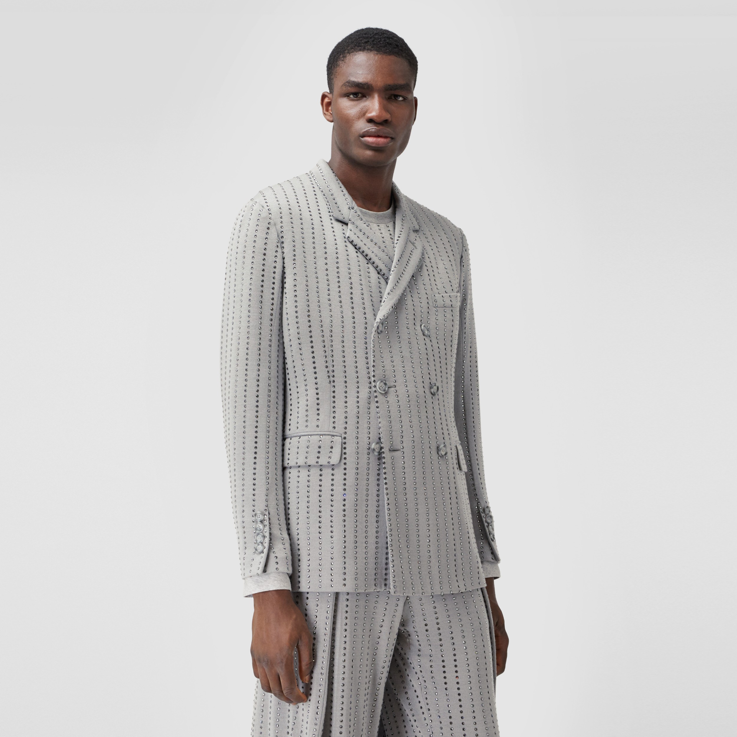 Classic Fit Crystal Pinstriped Tailored Jacket in Light Pebble Grey ...