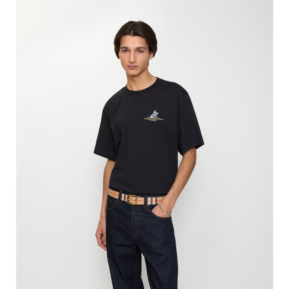  Check Reversible Pin Belt​