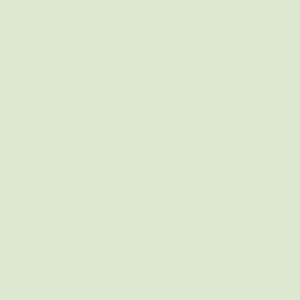 Mint green/pebble white