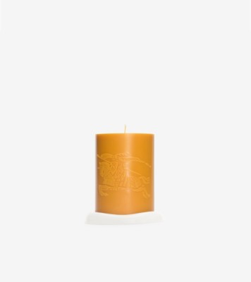 ラグジュアリー ホーム＆ペットアクセサリー | Burberry® 公式サイト