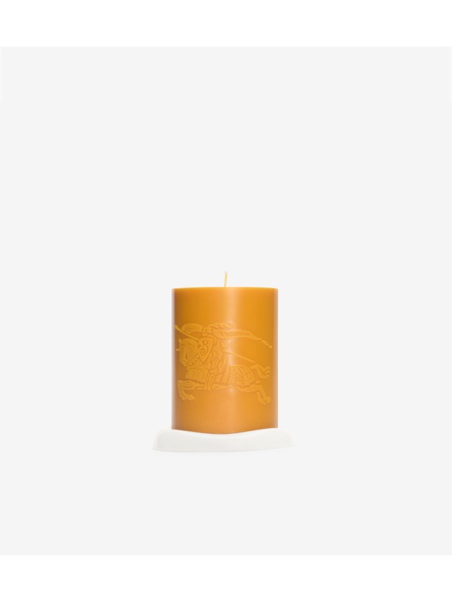 ラグジュアリー ホーム＆ペットアクセサリー | Burberry® 公式サイト