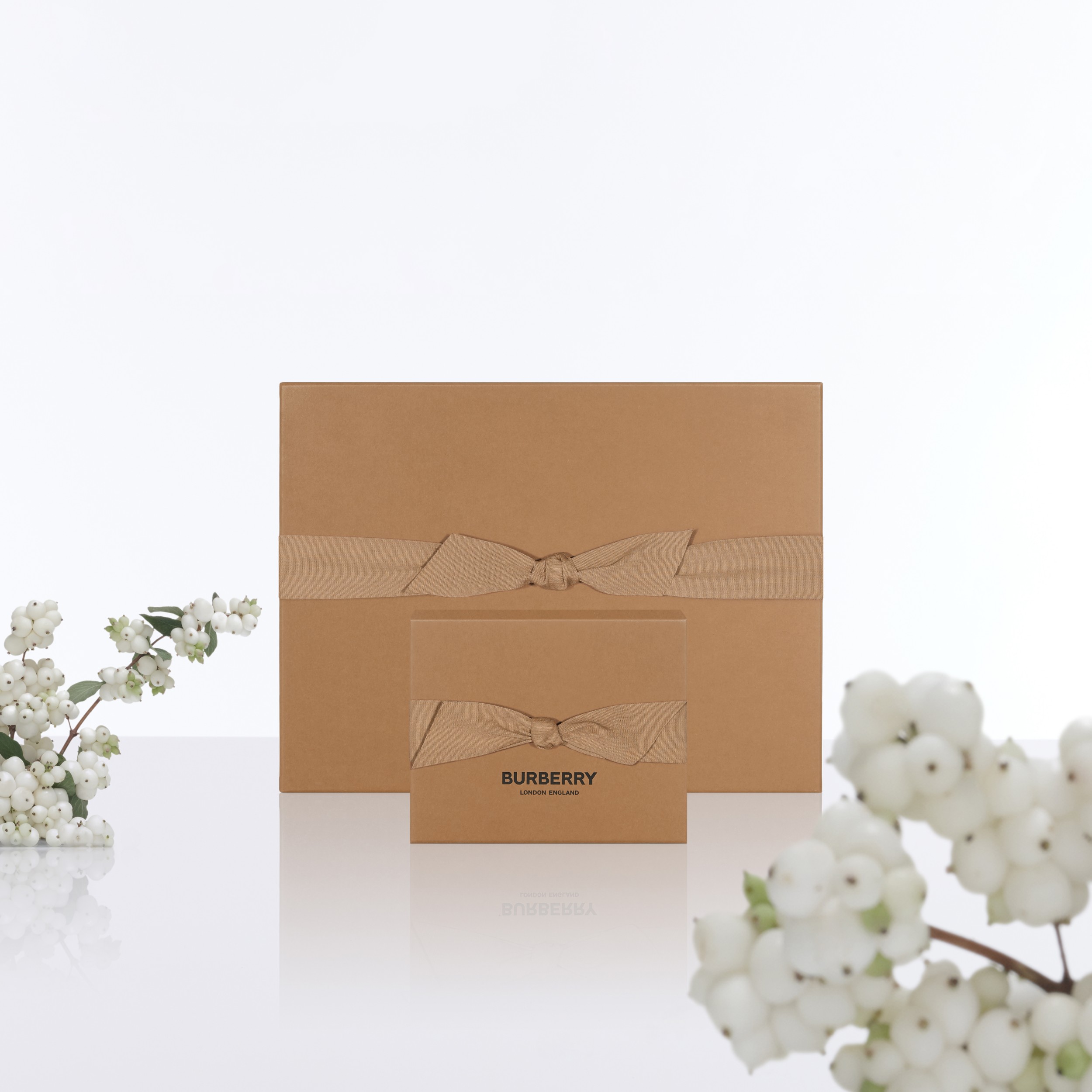 Aftercare Replacement | Burberry® - 1