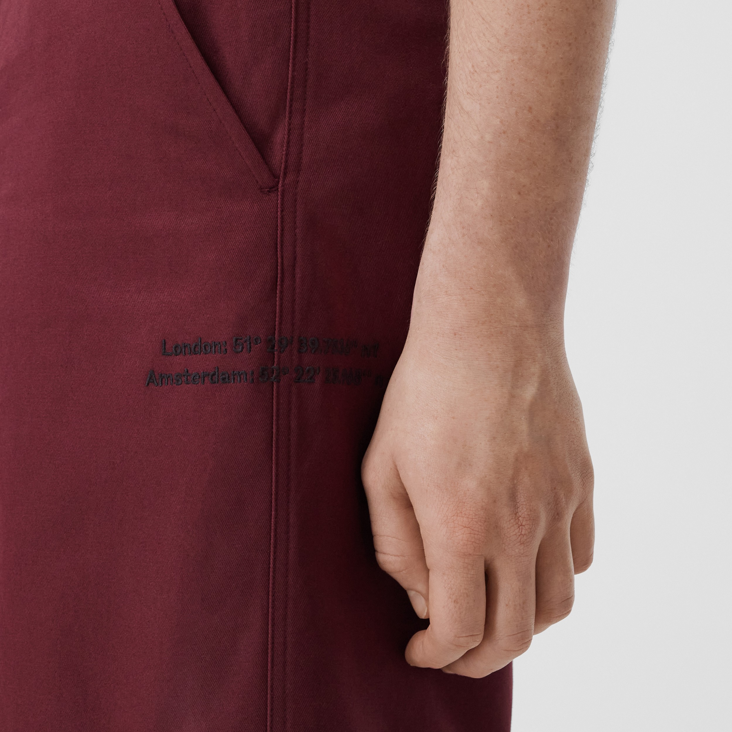 Cotton Twill Shorts in Garnet - Men | Burberry® Official - 2