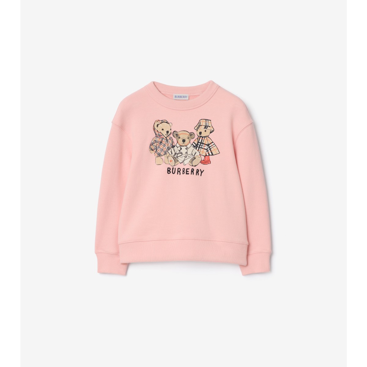  Embroidered Thomas Bear and Friends Sweatshirt