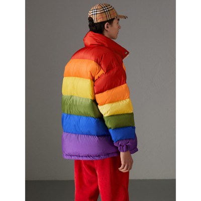 burberry rainbow puffer