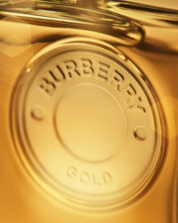Burberry Gold Bottle 