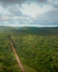 Environnement : Journée de la Terre 2022