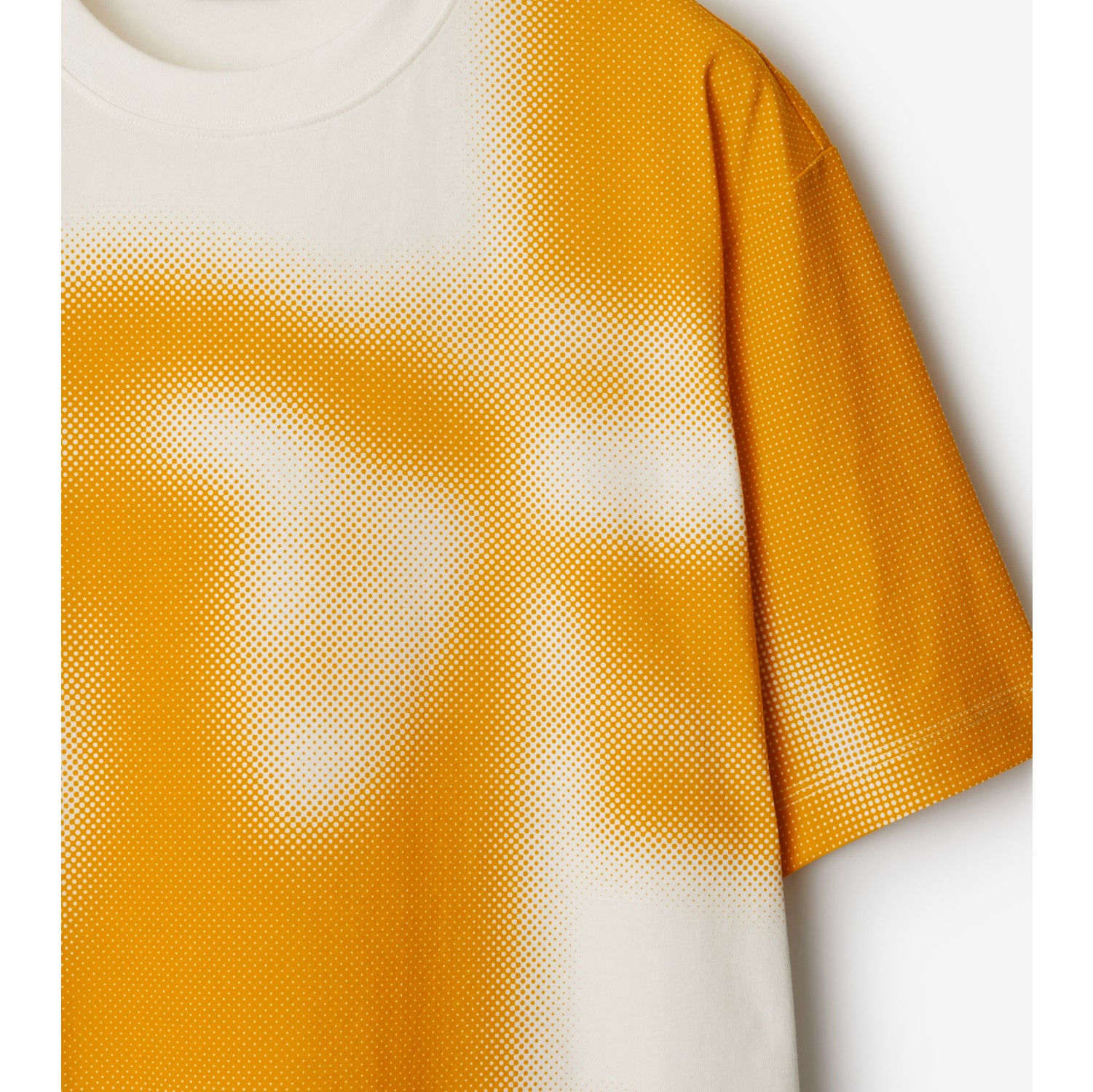 Halftone EKD Cotton T-shirt in Salt - Men | Burberry® Official